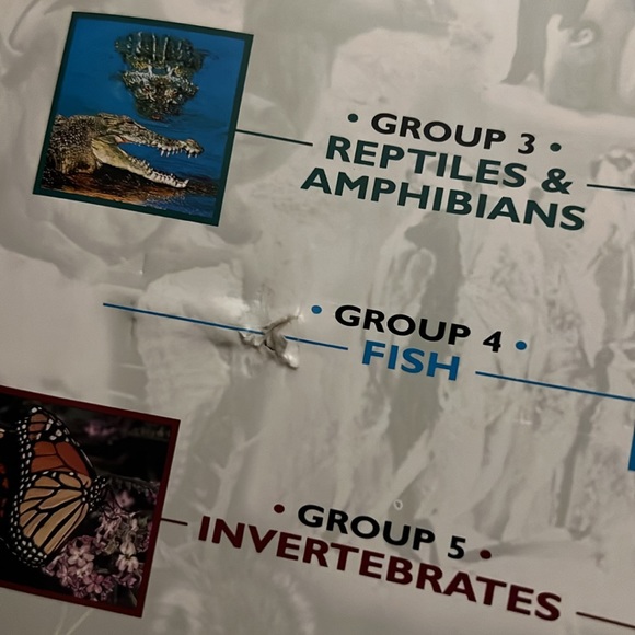 Wildlife Explorer 3 Ring Binder - Picture 9 of 9